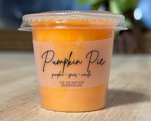 Pumpkin Pie / Pop-Out Soy Wax Melt / Infused with Mica / Wax Melts