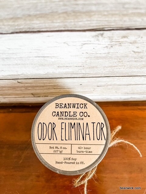 ODOR ELIMINATOR Soy Candle in Mason Jar Unique Gift