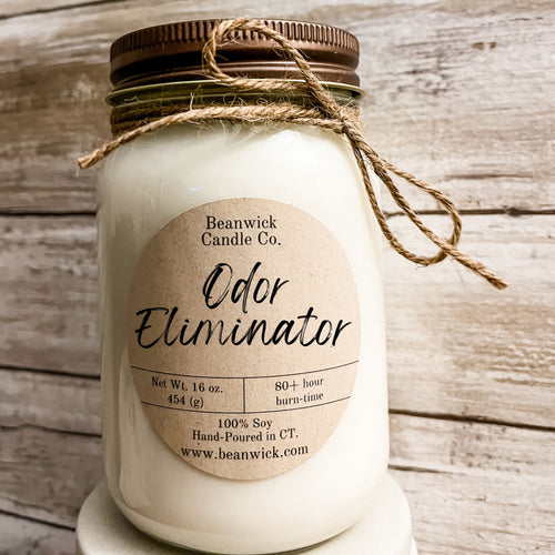 ODOR ELIMINATOR Soy Candle in Mason Jar Unique Gift